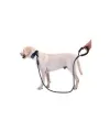 Reflektörlü Köpek Tasması 130 Cm.