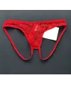 Seksi Dantelli Arkası Açık Seksi Kırmızı Erkek Külot IEG4627