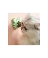 Yengeç Kedi Otu Oyun Topu