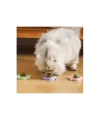 Yengeç Kedi Otu Oyun Topu