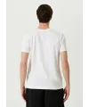 ERKEK  Tişört Basic Bisiklet Yaka Regular Kısa kol T-Shirt - Beyaz