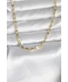 ietaks™ CM 14K Gold Renk Arpa Model 45 cm Kadın Kolye