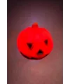 Kabak Işıklı Led Lamba 5 cm