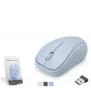 Kablosuz Mouse 1200 Dpi HDX3413