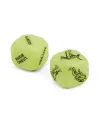Kamasutra Sex Dice Zar Oyunu