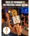 Karaoke Mikrofon Dahili Hoparlörlü Sd-usb-aux Girişli Bluetooth Hoparlör