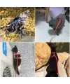 Kedi Boyun ve Göğüs Tasması