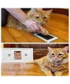 Kedi Köpek Pati İzi Fotoğraf Çerçevesi Seti