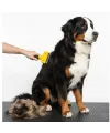 Kedi & Köpekler İçin Tüy Alıcı 7 Cm