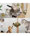 Kedi Nanesi Oyun Topu
