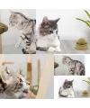 Kedi Nanesi Oyun Topu
