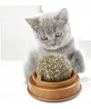 Kedi Nanesi Oyun Topu