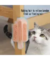 Kedi Otu Hazneli Kedi Kaşınma Aparatı