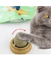 Kedi Otu Oyun Topu