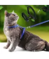 Kedi Tasması