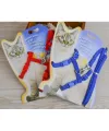 Kedi Tasması