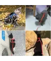 Kedi Tasması
