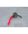 Kedi Tırmalama Fırçası - Kedi Oyuncağı