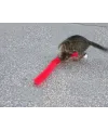 Kedi Tırmalama Fırçası - Kedi Oyuncağı