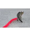 Kedi Tırmalama Fırçası - Kedi Oyuncağı