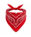 Kırmızı Kovboy Fuları Çocuk Bandana Western Desenli Boyun Fuları