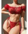 Kırmızı Transparan Fantezi Sütyen Külot Takım