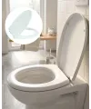 Klozet Kapağı