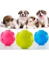 Köpek Isırma Topu Pati Desenli 1291