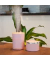 Lattice Ortam Nemlendirme ve Dezenfektan Buhar Makinesi (pembe) Usb