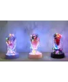 LED Işıklı Müzikli Cam Fanus İçinde Gül Buketi