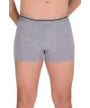 Likralı Erkek Boxer Şort Gri 1097B