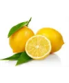 Limon Bonesi / 100 Adet / Bitki Çayı Bonesi