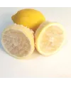 Limon Bonesi / 100 Adet / Bitki Çayı Bonesi