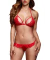 Liona Büyük Beden Dantelli Fantezi Sütyen G String Külot Takımı