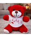 Love Tişörtlü Kırmızı Peluş Ayıcık