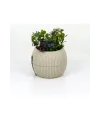 Mercan Saksı 11.5x12 Cm 0.70 Lt
