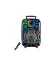 Mikrofonlu Bluetooth Hoparlör 8 İnç Rgb Işıklı Taşınabilir Ses Sistemi