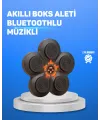 Müzikli Boks Duvar Paneli Akıllı Işık Sistemli Refleks Ve Kondisyon Aleti