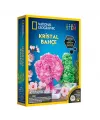 Natgeo Kristal Bitki Kiti