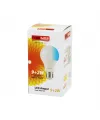 9+2 W E27 Beyaz-Mavi Led Ampul IEG84PF