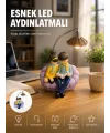 Okuyan Çift Figürlü Dekoratif Gece Lambası Hediye Seçeneği