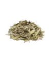 Organik Taze Dökme Adaçayı 250 Gr