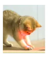 Otomatik Lazer Oyun Tasması