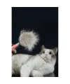 Otomatik Tuşlu Kendini Temizleyen Kedi Köpek Tarağı
