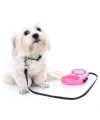 Otomatik Uzayan Köpek Tasması 3 METRE