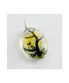 Oval Canlı Kolye Ucu 3 cm
