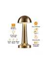 Oval - Metal Mantar Masa Lambası Dokunmatik - Renkli Type-c Şarjlı 3 Fonksiyonlu Yl86-1231