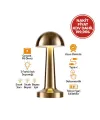 Oval Metal Mantar Masa Lambası - Dokunmatik Type-C 3 Mod