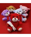 Peluş Ayıcık