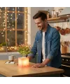 Pembe Saksılı LED Yapay Çiçek